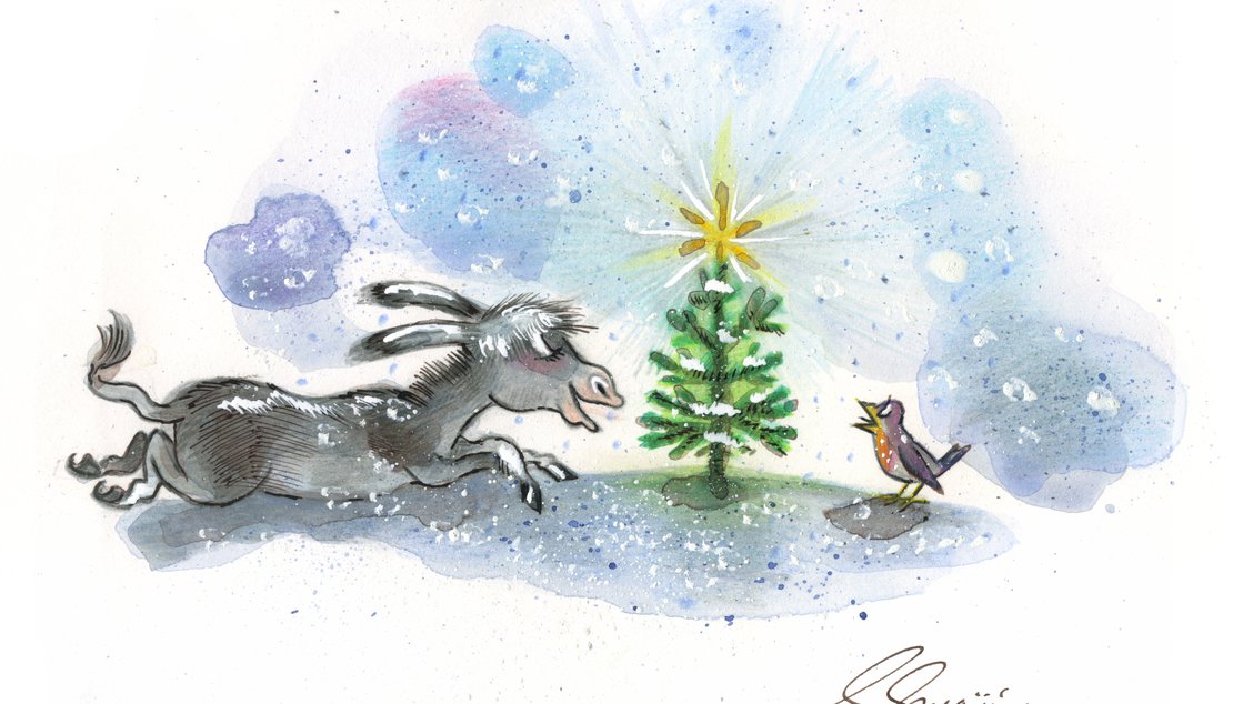 Der Allerkleinste Tannenbaum Dias 2025 Cloe Natasha